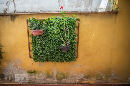 Casa à venda com 250m², 3 quartos e 2 vagasVista