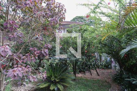 Casa para alugar com 560m², 3 quartos e 4 vagasQuintal