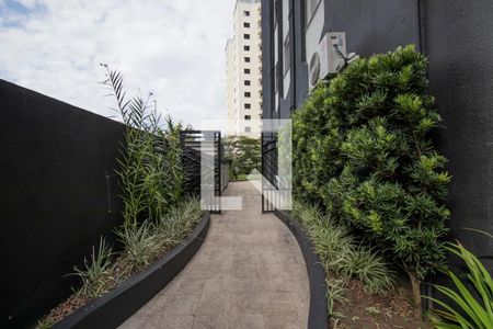 Apartamento para alugar com 65m², 2 quartos e 1 vaga Apartamento para alugar com 65m², 2 quartos e 1 vagaÁrea Comum