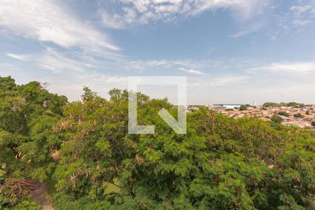 Apartamento à venda com 67m², 3 quartos e 1 vagaVista do Quarto 3