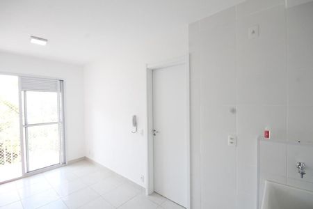 Cozinha de apartamento para alugar com 1 quarto, 30m² em Cambuci, São Paulo