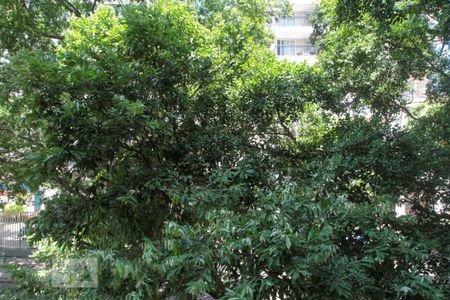 Apartamento à venda com 108m², 3 quartos e 1 vagaVista do Quarto 3