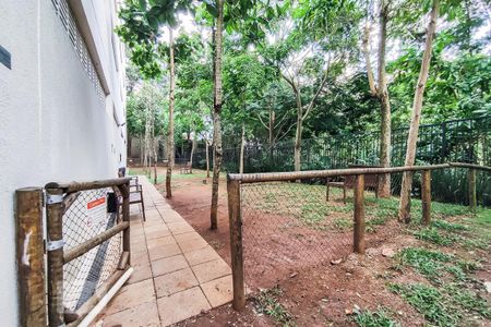 Apartamento à venda com 54m², 2 quartos e 2 vagasÁrea Comum - Espaço Pet