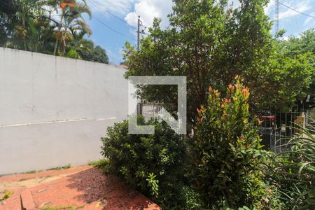 Casa para alugar com 350m², 4 quartos e 4 vagasQuintal