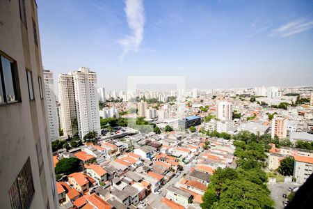 Apartamento à venda com 78m², 3 quartos e 1 vagavista cozinha