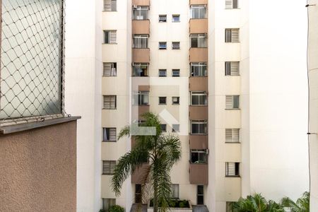 Apartamento à venda com 163m², 3 quartos e 4 vagasVista do Banheiro de Serviço 