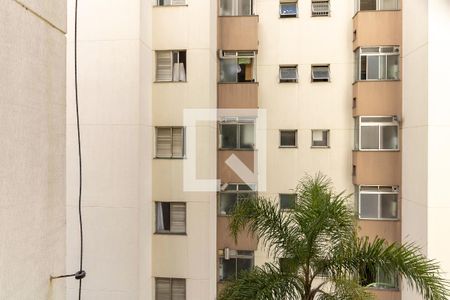 Apartamento à venda com 163m², 3 quartos e 4 vagasVista da Lavanderia 