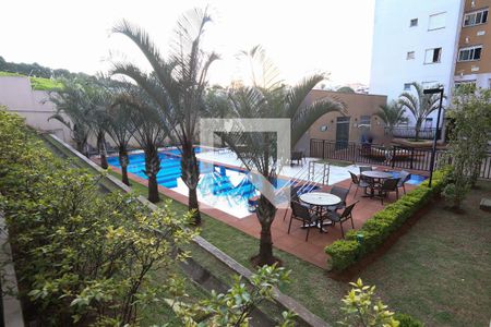 Área comum - Piscina de apartamento para alugar com 2 quartos, 45m² em Itaquera, São Paulo