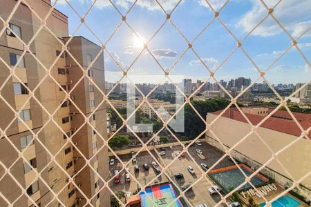 Sacada de apartamento para alugar com 3 quartos, 61m² em Cambuci, São Paulo