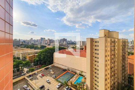 Sacada de apartamento para alugar com 3 quartos, 61m² em Cambuci, São Paulo