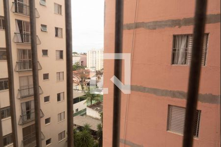 Vista do Quarto 1 de apartamento para alugar com 3 quartos, 52m² em Macedo, Guarulhos