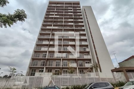 Apartamento para alugar com 32m², 1 quarto e sem vagaFachada