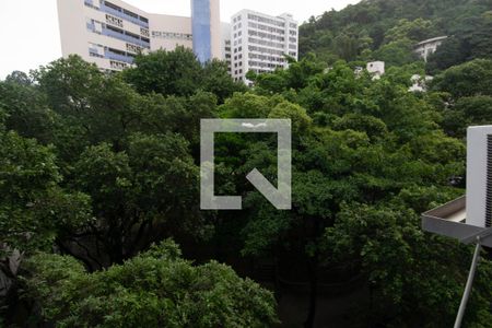 Apartamento à venda com 120m², 3 quartos e sem vagaQuarto 1