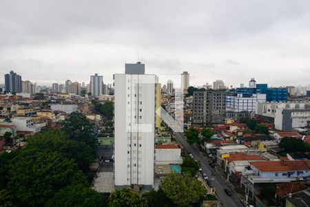 Apartamento para alugar com 63m², 3 quartos e 1 vagaVista da Suíte
