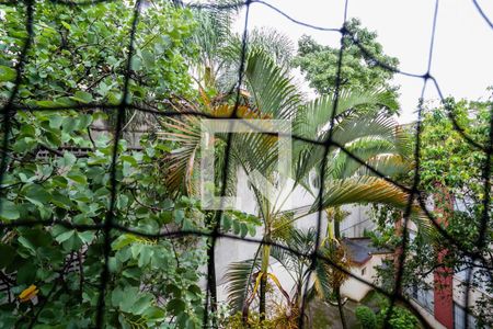 Vista da sala de apartamento à venda com 2 quartos, 50m² em Vila Pereira Cerca, São Paulo