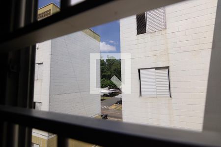 Vista do Quarto 1 de apartamento para alugar com 2 quartos, 51m² em Vila Padre Manoel de Nobrega, Campinas