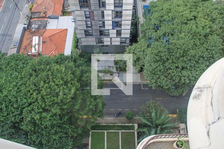 Apartamento à venda com 431m², 4 quartos e 4 vagasVista
