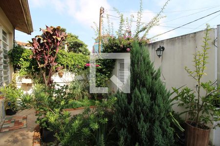 Casa à venda com 240m², 3 quartos e 3 vagasÁrea Externa