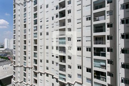 Vista de apartamento para alugar com 1 quarto, 30m² em Brás, São Paulo