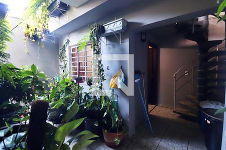 Casa para alugar com 250m², 3 quartos e 3 vagasQuintal