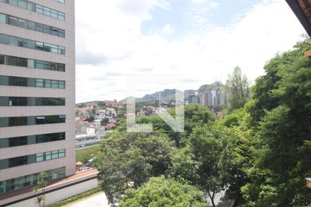 Casa à venda com 4 quartos, 355m² em Santa Lúcia, Belo Horizonte