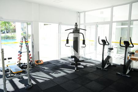 Apartamento para alugar com 60m², 2 quartos e 2 vagas Apartamento para alugar com 60m², 2 quartos e 2 vagasÁrea comum - Academia