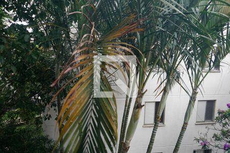 Apartamento à venda com 55m², 2 quartos e 1 vagaVista do Quarto 2