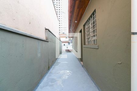 Casa para alugar com 110m², 2 quartos e sem vagaQuintal