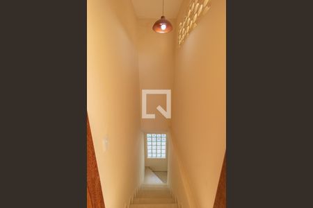 Casa para alugar com 144m², 3 quartos e sem vaga Casa para alugar com 144m², 3 quartos e sem vagaEscada acesso terraço