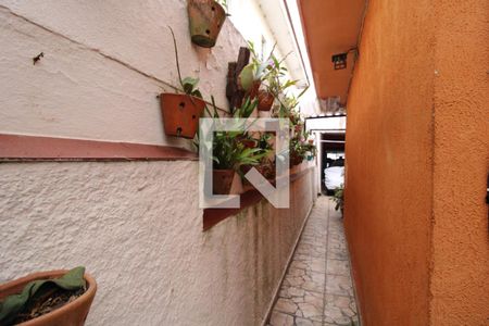 Casa para alugar com 180m², 3 quartos e 2 vagasQuintal lateral