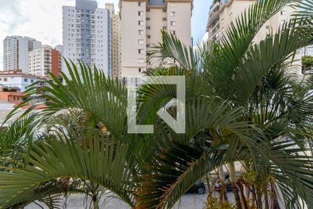 Apartamento à venda com 73m², 3 quartos e 1 vagaVista do Quarto 2