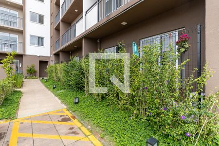 Área Comum  de apartamento para alugar com 1 quarto, 32m² em Jardim da Glória, São Paulo
