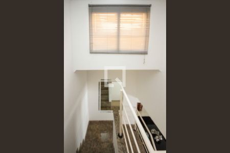 escada de casa para alugar com 2 quartos, 120m² em Vila Bela, São Paulo