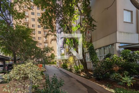 Jardim  de apartamento à venda com 2 quartos, 65m² em Cangaíba, São Paulo