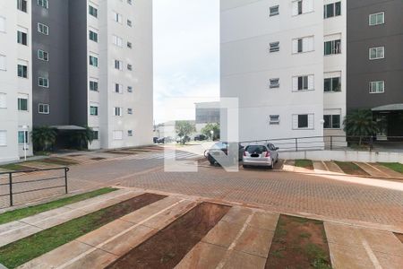 Apartamento para alugar com 74m², 3 quartos e 1 vagaVista do Quarto 2