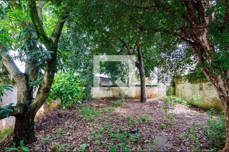 Casa à venda com 186m², 3 quartos e 3 vagasQuintal