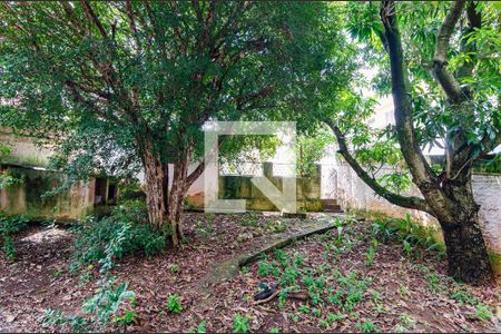 Casa à venda com 186m², 3 quartos e 3 vagasQuintal