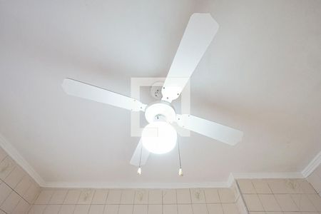 Casa para alugar com 56m², 1 quarto e sem vagaVentilador de teto