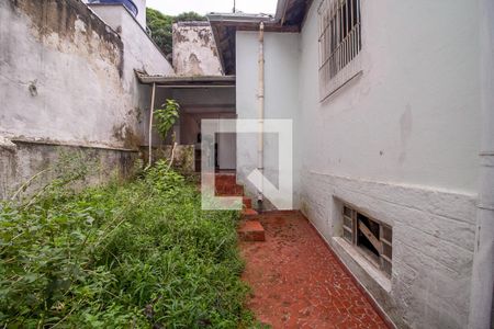 Casa à venda com 250m², 2 quartos e 1 vagaQuintal