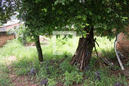 Casa à venda com 674m², 3 quartos e 2 vagasQuintal 