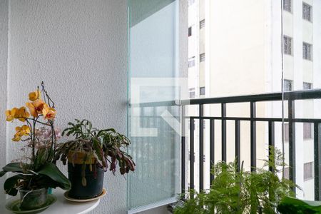 Varanda de apartamento à venda com 2 quartos, 58m² em Vila Renata, Guarulhos