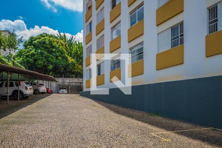 Garagem de apartamento para alugar com 3 quartos, 80m² em Botafogo, Campinas