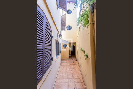 Quintal de casa para alugar com 3 quartos, 300m² em Conjunto Residencial Santa Terezinha, São Paulo