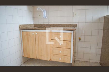 Apartamento para alugar com 50m², 2 quartos e 1 vagaCozinha - Armários