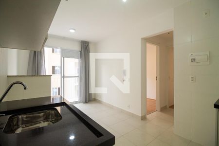 Cozinha  de apartamento para alugar com 2 quartos, 35m² em Cambuci, São Paulo