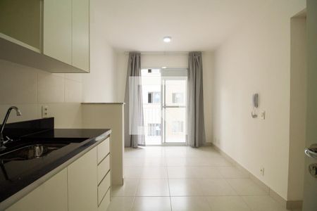 Cozinha  de apartamento à venda com 2 quartos, 35m² em Cambuci, São Paulo