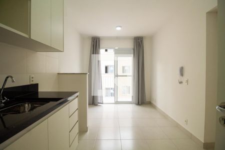 Cozinha  de apartamento para alugar com 2 quartos, 35m² em Cambuci, São Paulo