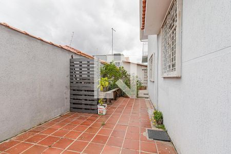 Casa para alugar com 350m², 8 quartos e 3 vagasQuintal