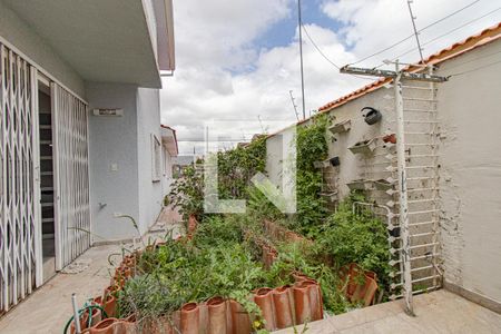 Casa para alugar com 350m², 8 quartos e 3 vagasQuintal