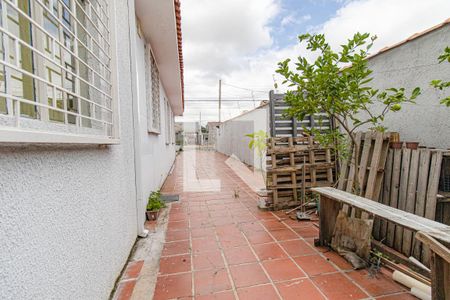Casa para alugar com 350m², 8 quartos e 3 vagasQuintal